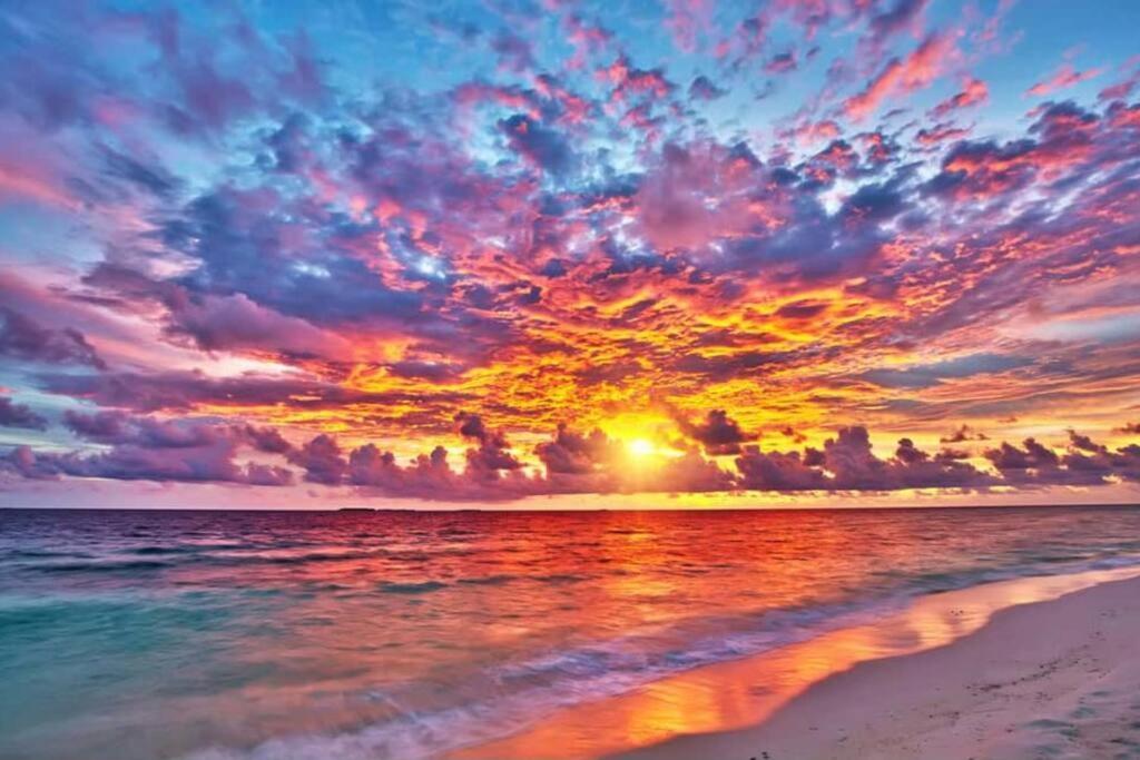 Wow! Location! Unit! New Renovated South Ocean Front Appartement Miami Beach